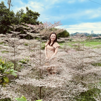 BÀNG NHẬT CẨM THẠCH